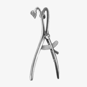 import placeholder for 5379