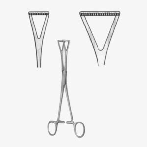 import placeholder for 1407