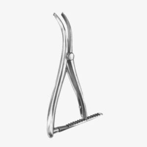 import placeholder for 2569