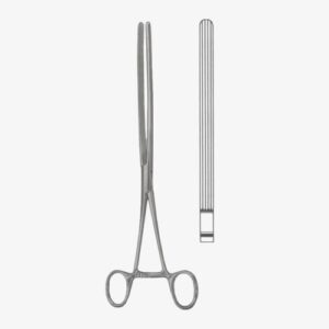 import placeholder for 1483