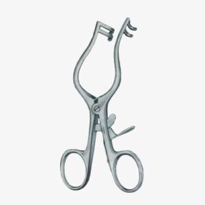 import placeholder for 5582