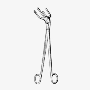 import placeholder for 1787