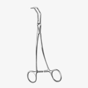 import placeholder for 3119