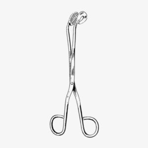 import placeholder for 1801